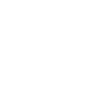 Boyle Bingo