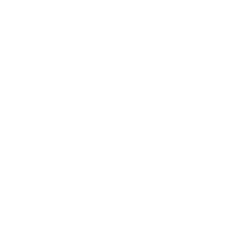 Castlewellan Show