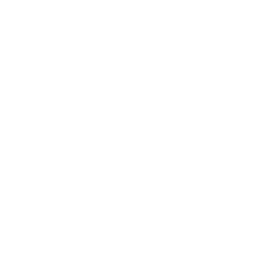 PPP Group